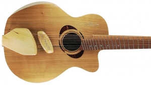 Aegir Guitar by Criman