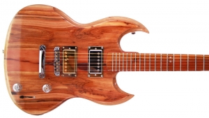 Saga Silgo Guitar by Criman